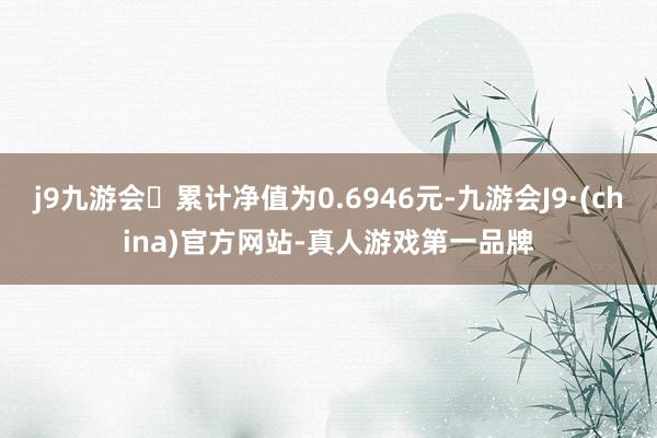 j9九游会累计净值为0.6946元-九游会J9·(china)官方网站-真人游戏第一品牌